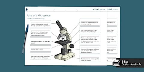Parts of a Microscope Cut and Paste Worksheet