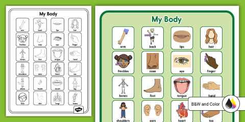 My Body Movement Posters