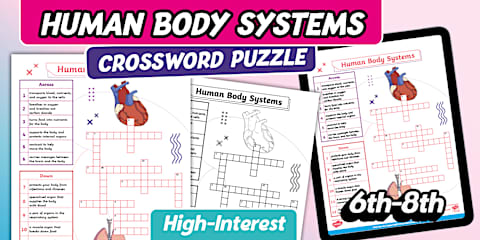 Human Body Systems Labeling Worksheet for 6th-8th Grade