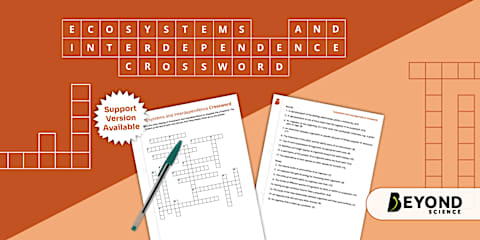 KS3 Ecosystems and Interdependence Word Search