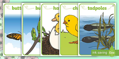 Foundation Phase LS - FAL Spring - Display Posters: Spring English ...