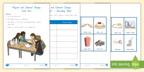 Human and Physical Features of the Amazon Rainforest Sorting Cards