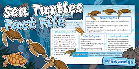 Australia's Oceans and Seas PowerPoint