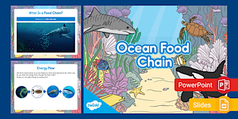 Second Grade Ocean Habitats PowerPoint & Google Slides