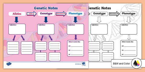 Seventh Grade Introduction to Genetics PowerPoint & Google Slides