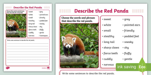 Parts of a Red Panda Labelling Activity