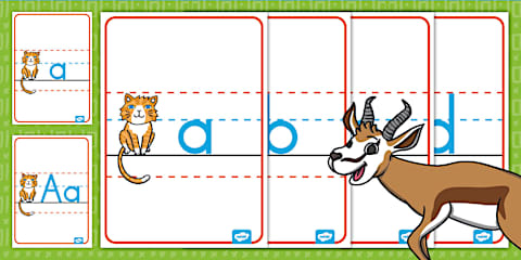 Cat Thirds Handwriting Lines