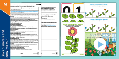 EYFS Maths: The Counting Sounds Bat Whole Class Adult Input Plan and ...