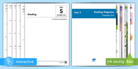 Year 5 NAPLAN-Style Numeracy Example Tests - Numeracy Sample Questions Pack