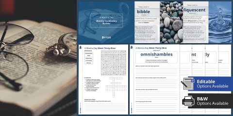 A Word a Day Activity Pack Week 40