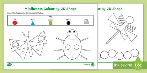 Spring Colour by 2D Shape Activity