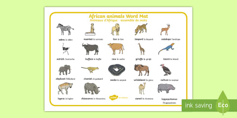 French Jungle Animals Word Mat and Word Cards