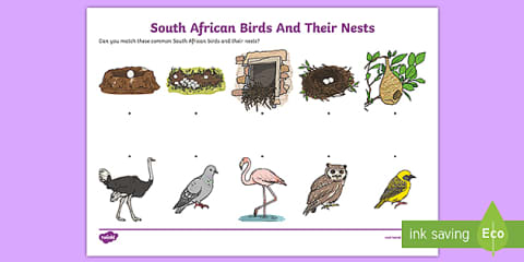 Grade R Life Skills - Beginning Knowledge and Personal and Social Well ...
