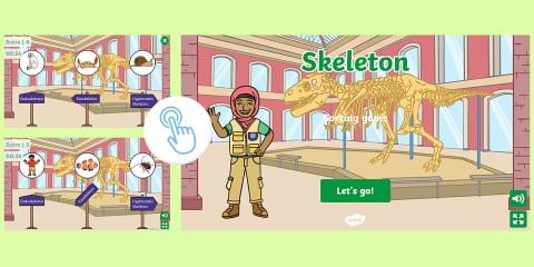 Skeleton Interactive Jigsaw