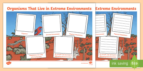 Arid and Semi-arid Environments PowerPoint