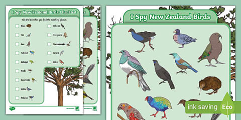 NZ Native Bird Colouring Pages Pack
