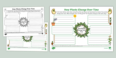 Plants Changing Over Time Investigation Worksheet