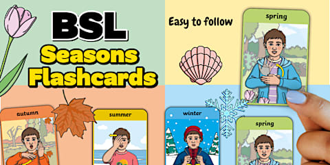 BSL Counting Down Activities Flashcards