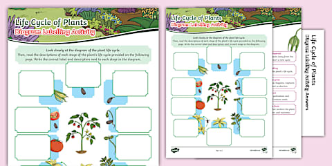 Plant Life Cycle Bingo for 3rd-5th Grade