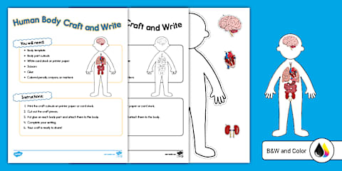 Human Body Cut and Paste Collage Craft for K-2nd Grade