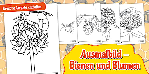 bienen-clipart-f-r-kinder-in-der-grundschule