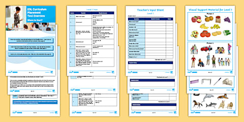 Editable Push-in Lesson Plan Template for ELL