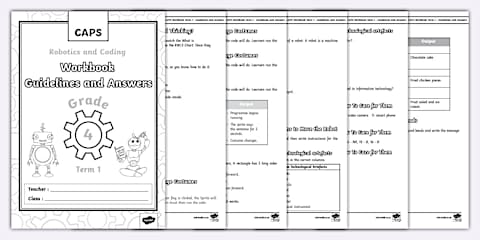 Robotics and Coding - Grade 4 Term 1 Test