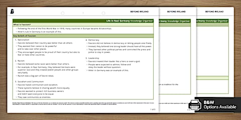 life-in-nazi-germany-revision-activity-sheet