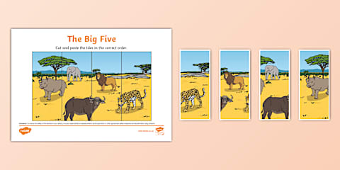 Animals Worksheet For Grade R Grade R Life Skills - Term 4 - Beginning Knowledge and Personal and ...