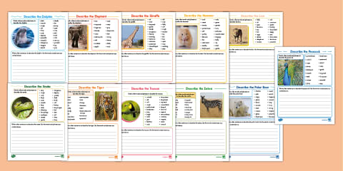 Sentence Building With Photos Activity for 3rd-5th Grade
