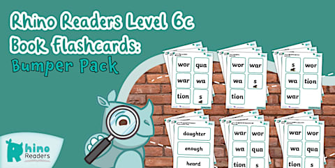 Level 2 Rhino Readers Intervention Mini-Reads: Flashcards Bumper Pack