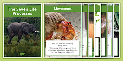 The Seven Life Processes Explainer Poster