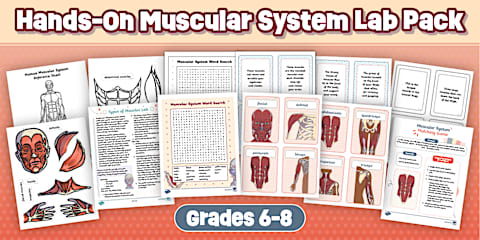 Hands-on Skeletal System Lab Stations Pack for 6th-8th Grade