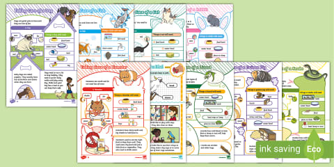 F-2 How to Look After a Bird Differentiated Reading Comprehension Activity