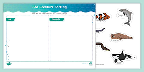 Photo Sea Creatures, Farm Animals, Wild Animals and Minibeasts Sorting ...