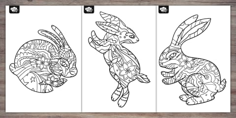 KS1 Year of the Rabbit Art Activity