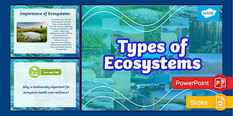 Relationships in Ecosystems: Interdependence Resource Pack
