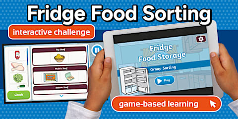 Storing Food in the Fridge Sorting Worksheet