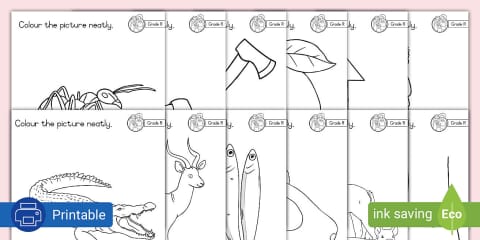 Grade R Phonics - Colouring Sheet - Letter r (CAPS Aligned)