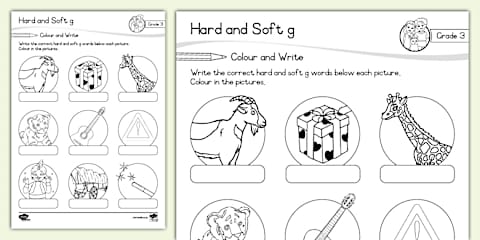 Grade 3: Hard and Soft g Word Search
