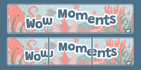 Muted Rainbow Themed Wow Moments Display Banner