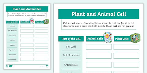 Comparing Plant and Animal Cells Worksheet French