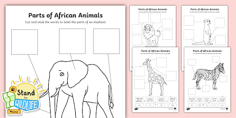 Preschool - Themes- African Animals - Worksheet - Mother and Baby Matching