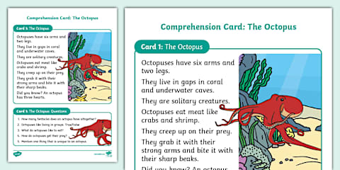 Grade 2 English The Tortoise and The Hare Comprehension Card (CAPS Aligned)