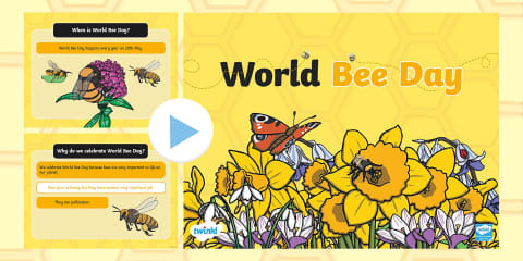 Whole School World Bee Day Assembly Pack