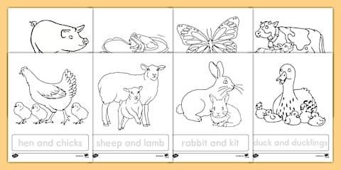 Spring Animals Matching Spring Animal Matching Photo Cards