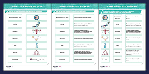Inheritance Display Posters