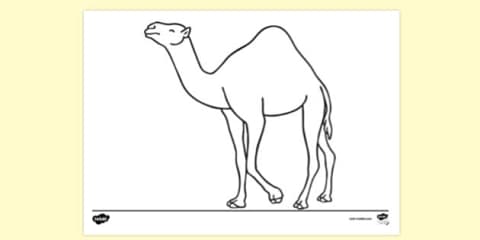 Camel Do a Dot Activity