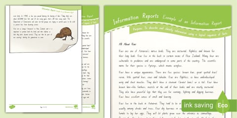 Level 3 (Phase 2) Writing - Information Report Planning Sheet with Exemplar
