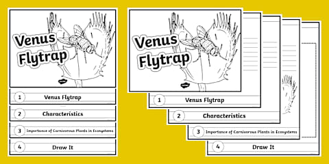 Describe a Venus Flytrap Worksheet